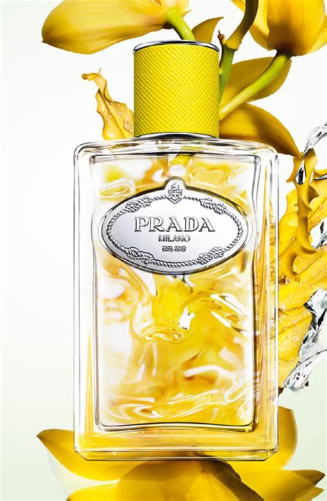 prada infusion ylang|infusion d'ylang.